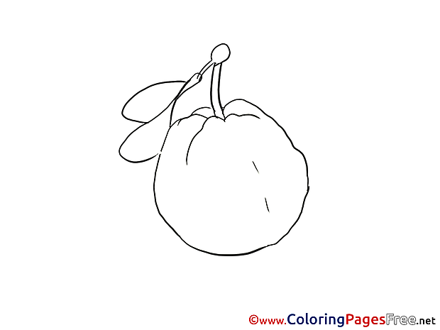 Quince Coloring Sheets download free