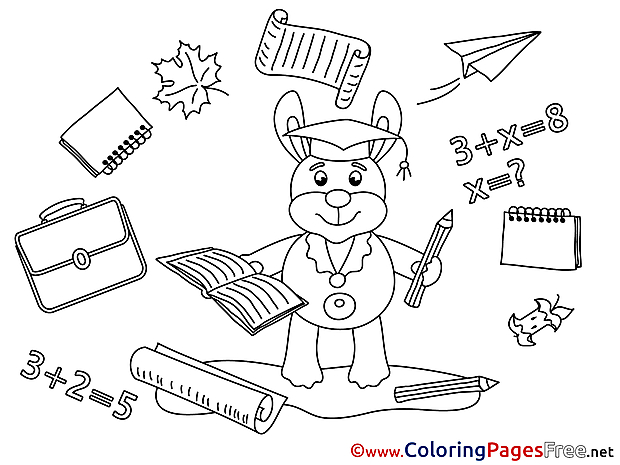 Rabbit Colouring Sheet Supplies  download Graduation
