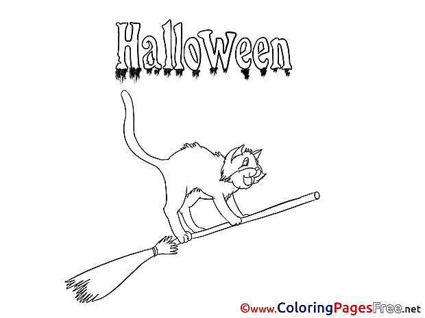 Free Cat on Broom Halloween Coloring Sheets