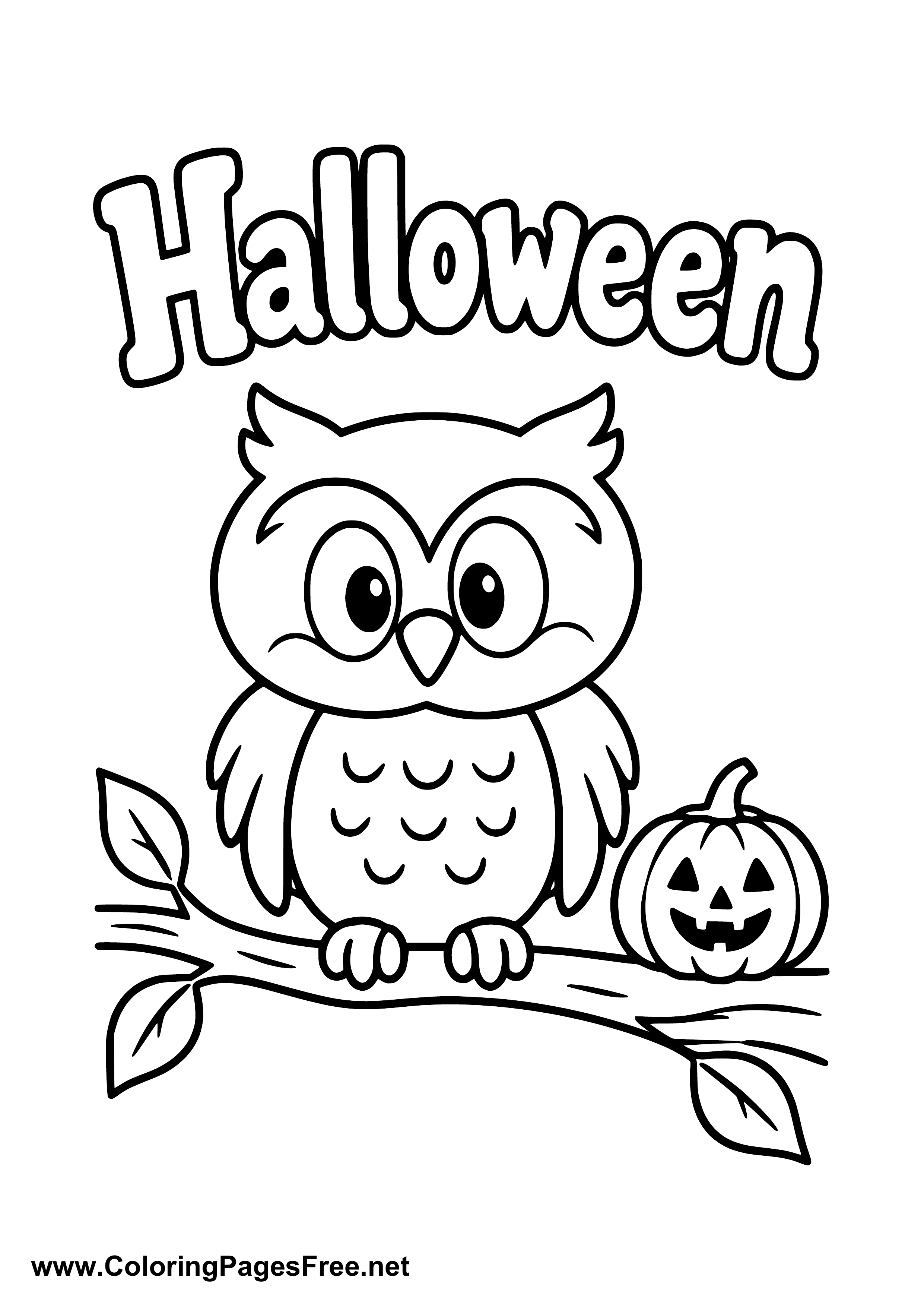 Halloween Owl Beside a Little Pumpkin Coloring Page