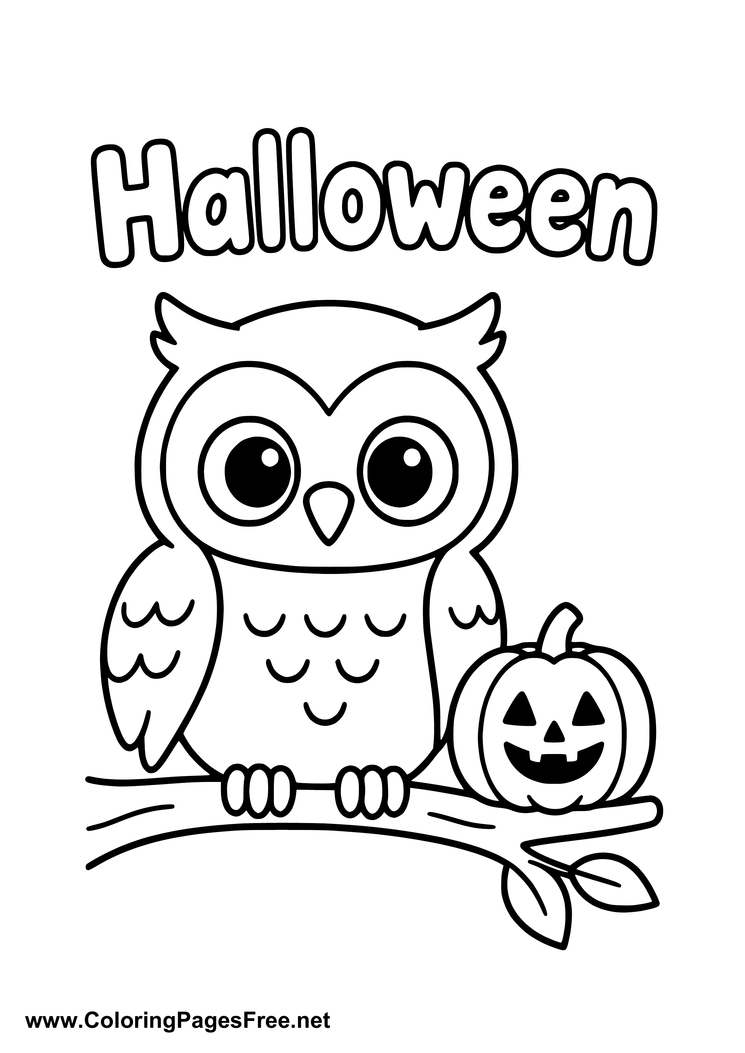 Halloween Owl on a Branch with Pumpkin Coloring Page