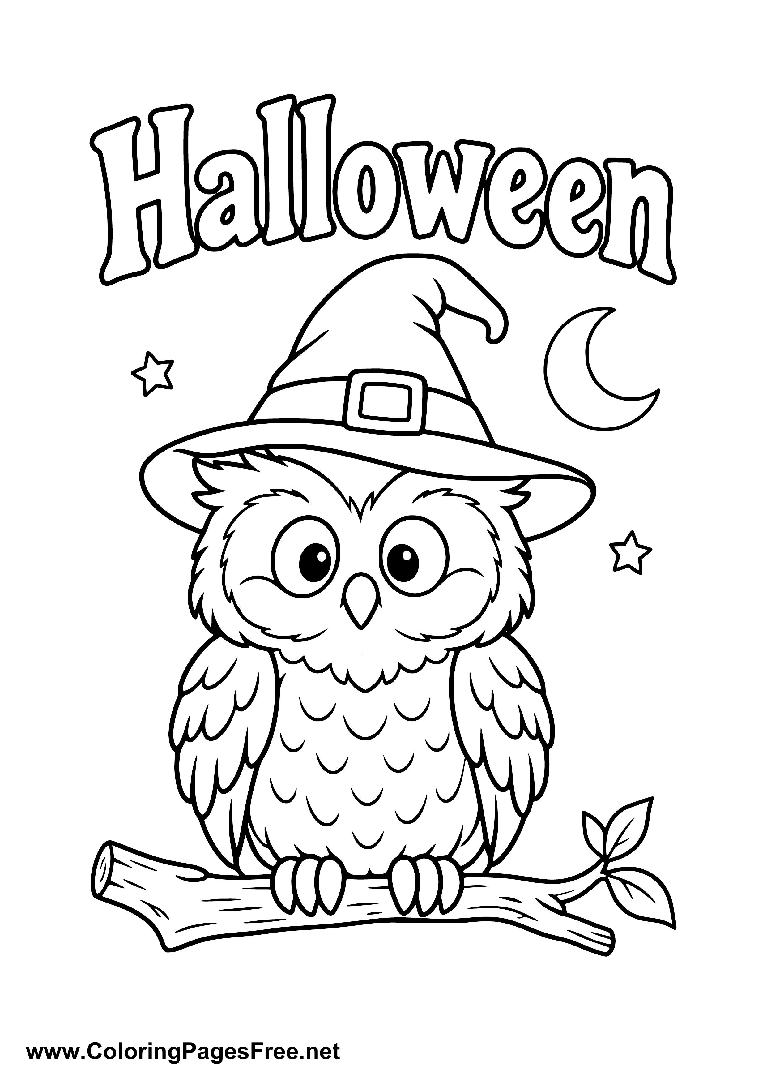 Halloween Owl Wearing a Witch Hat on a Branch Coloring Page