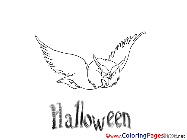 Owl free Colouring Page Halloween