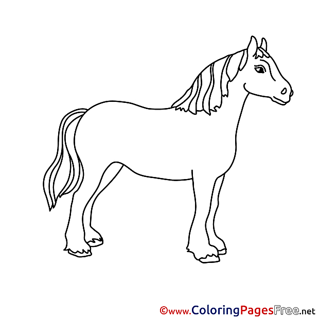 Animal Horse for Kids printable Colouring Page