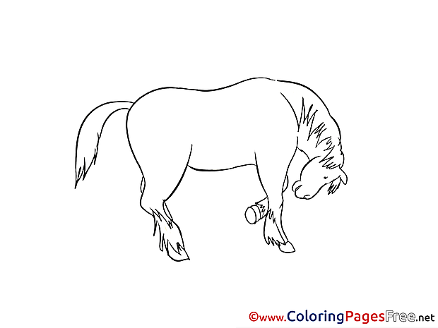 Horse for free Coloring Pages download