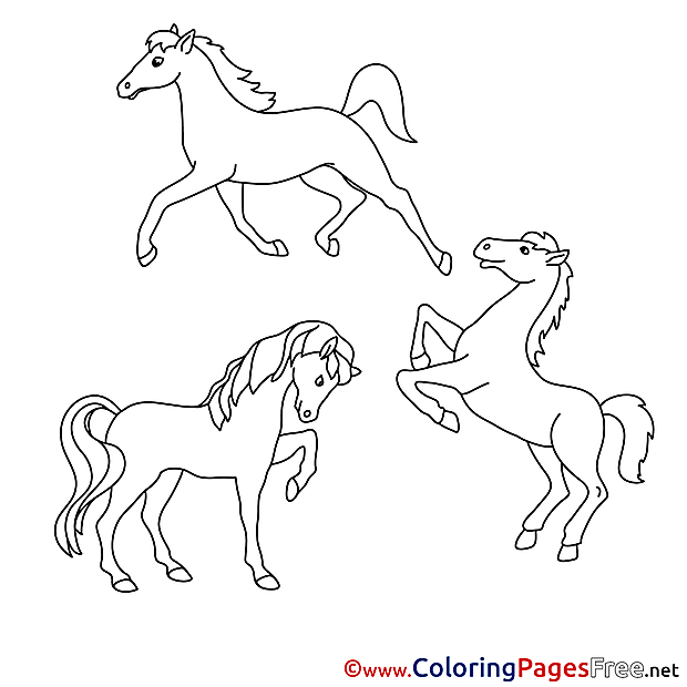 Kids download Coloring Horses Pages