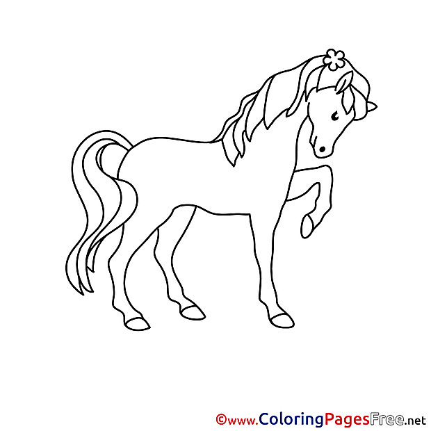 Picture Horse printable Coloring Pages for free