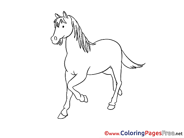 Stallion Children Coloring Pages free