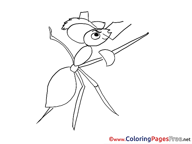 Ant Musketeer download Colouring Sheet free