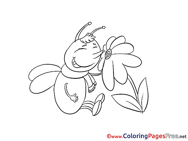 Bee Flower printable Coloring Sheets download