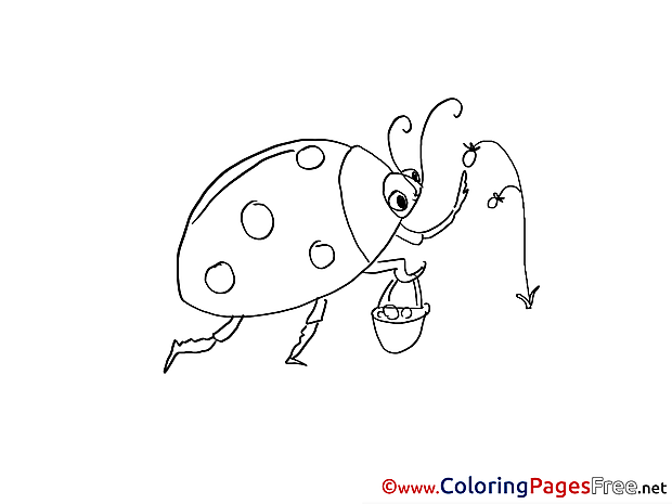 Bug Berries Colouring Page printable free