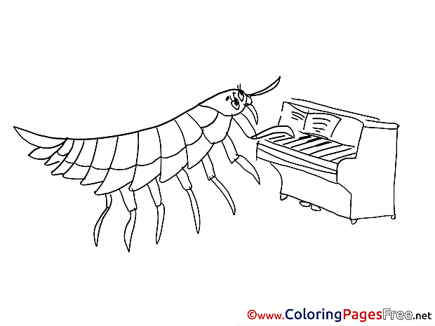 Centipede for Children free Coloring Pages