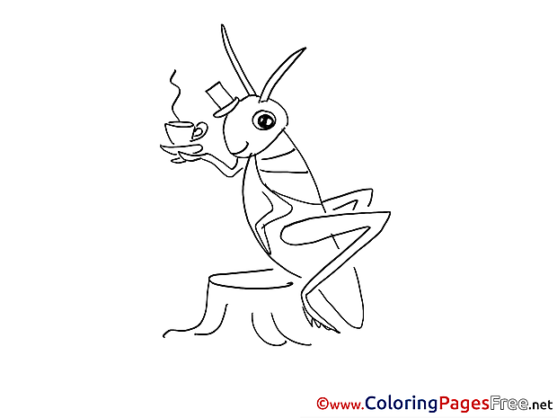 Grasshopper Cup of Tea Children Coloring Pages free