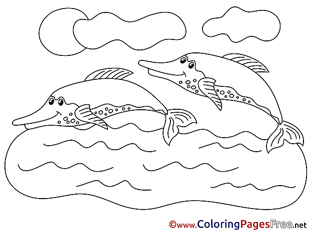 Dolphin for Children free Coloring Pages