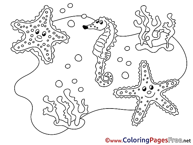Seahorse Children Coloring Pages free