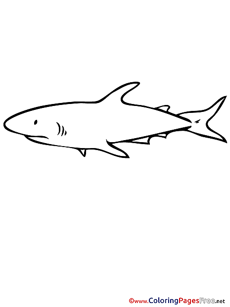 Shark Children Coloring Pages free