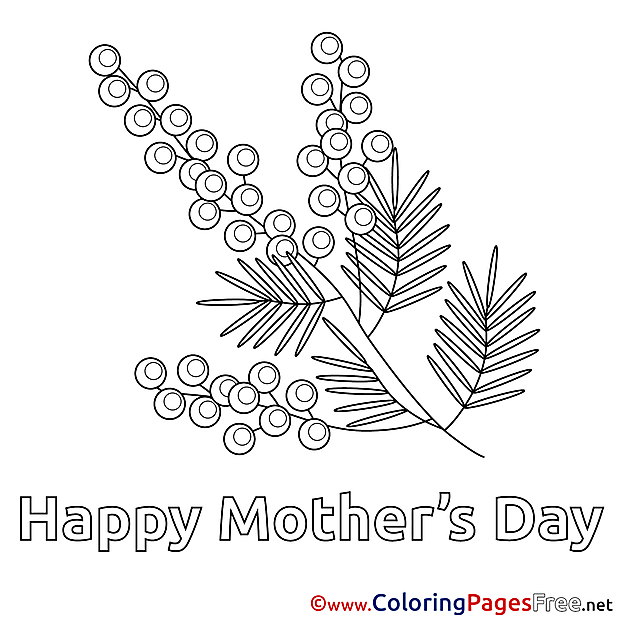 Mimosa for Kids Mother's Day Colouring Page