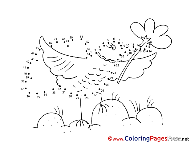 Bird Children Painting by Number Colouring Page