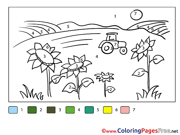 Field Sunflowers Kids Painting by Number Coloring Page