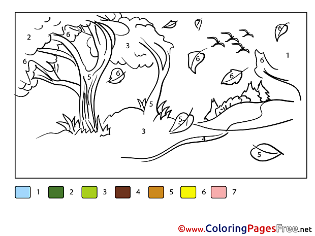 Forest Colouring Sheet download Painting by Number