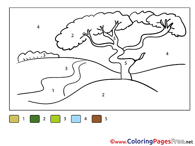 Nature free Colouring Page Painting by Number