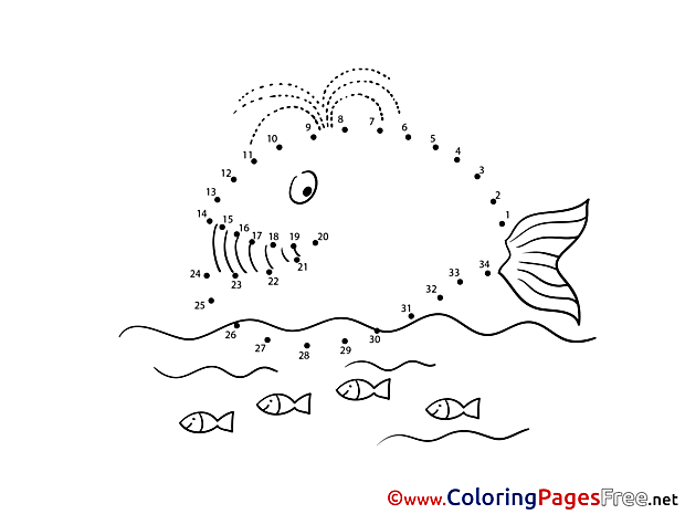 Whale Colouring Sheet download Painting by Number
