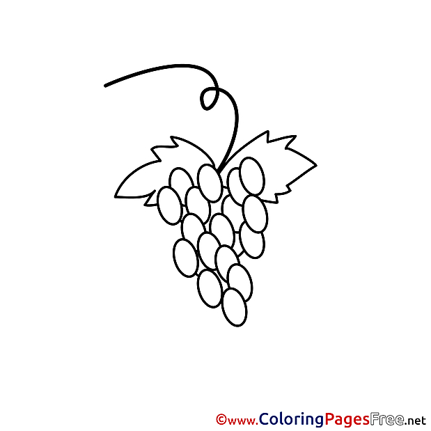 Grapes Coloring Pages Communion