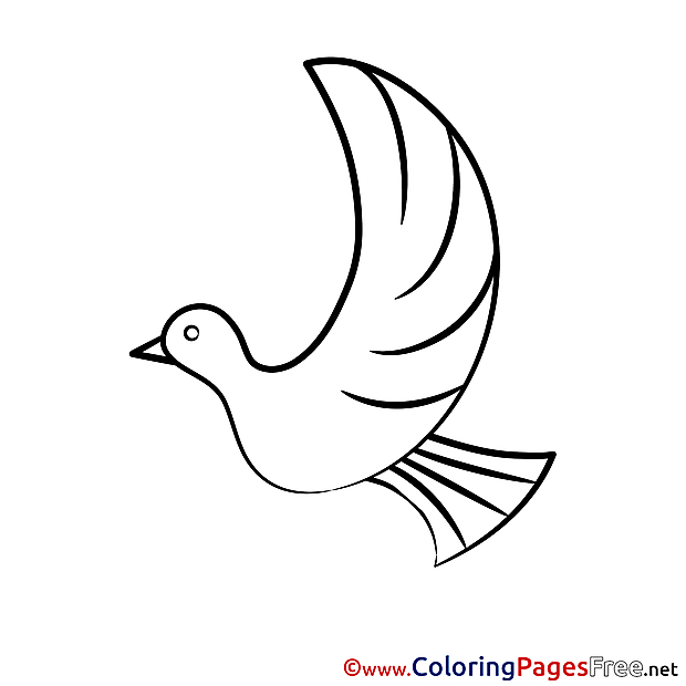 Confirmation Coloring Pages download Pigeon