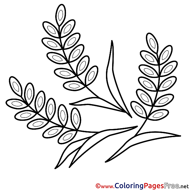 Kids Confirmation Coloring Pages
