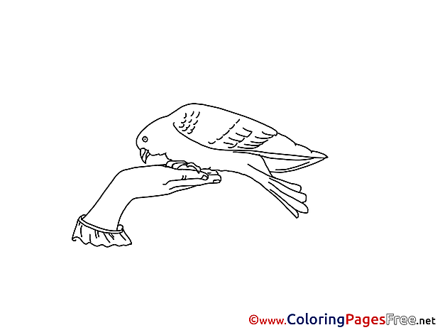 Coloring Pages Pigeon Pentecost