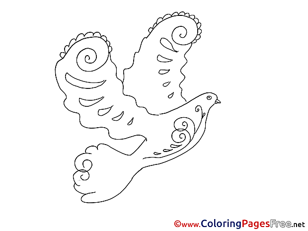 Colouring Sheet download Pigeon Pentecost