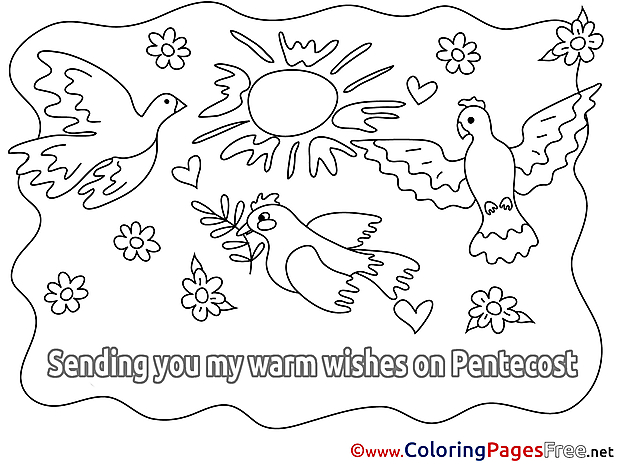 Flowers Pigeon for Kids Pentecost Colouring Page