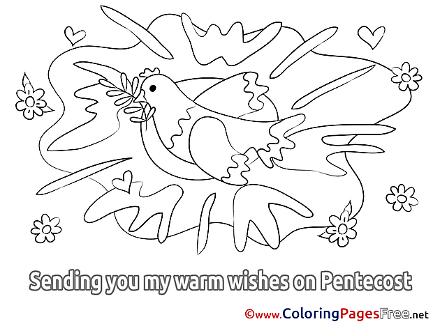 Flowers printable Coloring Pages Pentecost Pigeon