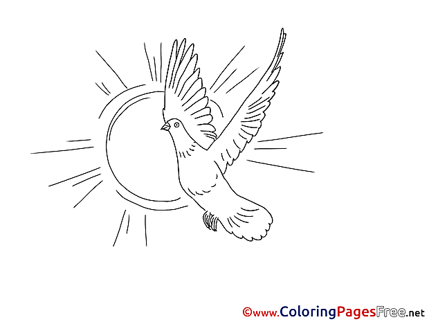 Free Colouring Page Sun Pigeon Pentecost