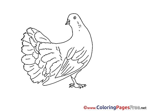 Free Pentecost Pigeon  Coloring Sheets
