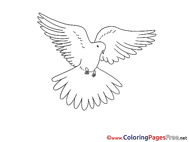 Illustration Pigeon Pentecost Colouring Sheet free