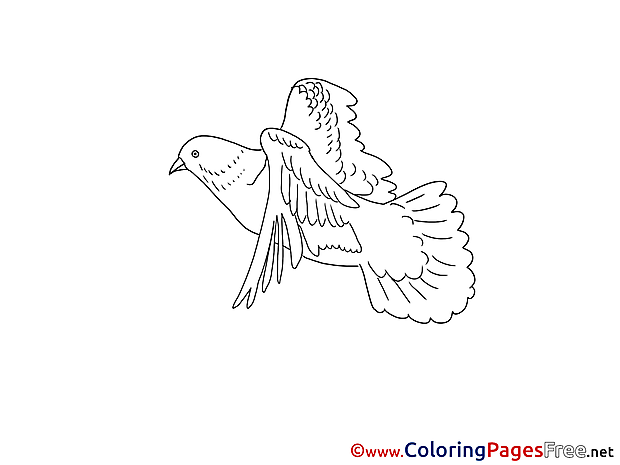 Image Pigeon printable Pentecost Coloring Sheets