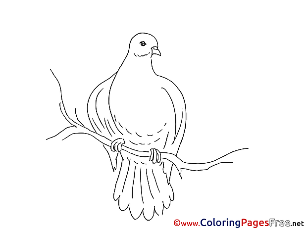 Kids Pentecost Coloring Pages Pigeon