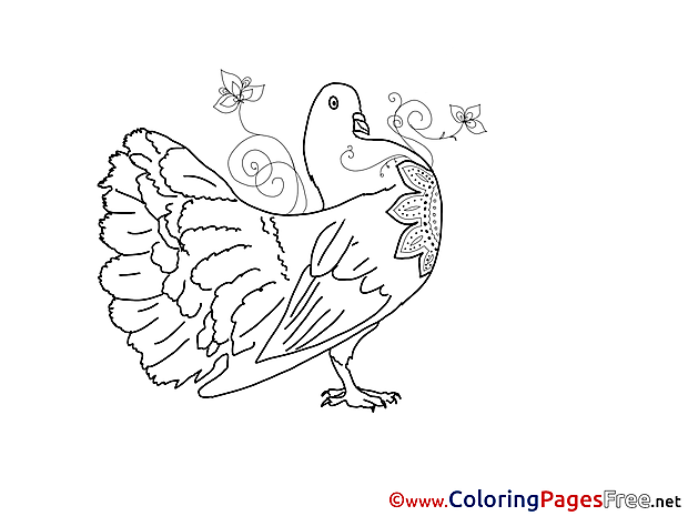 Kids Pentecost Pigeon Coloring Page