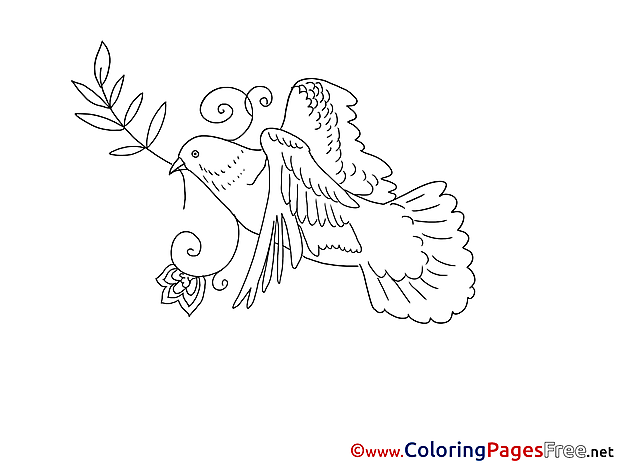 Olive Branch Pentecost Coloring Pages free