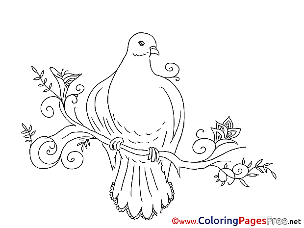 Olive Coloring Sheets Pentecost free