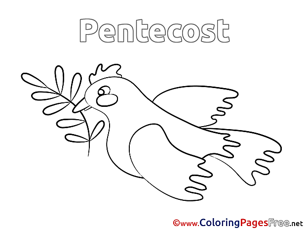Olive for Kids Pentecost Colouring Page