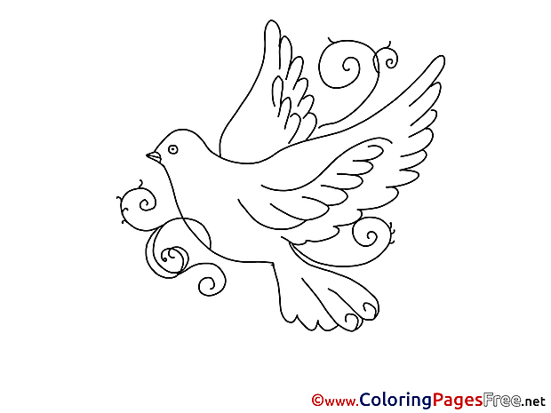 Pentecost Coloring Pages free Pigeon