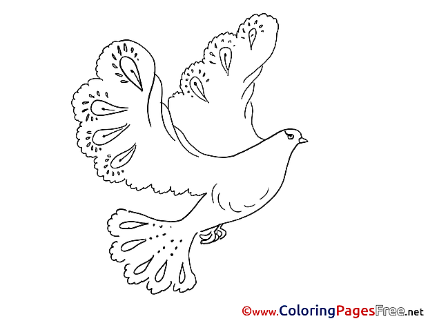 Pentecost Coloring Pages Pigeon download