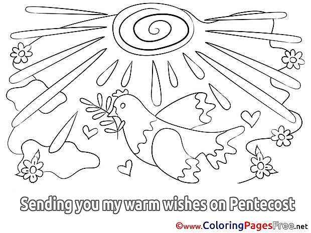 Pigeon Colouring Page Pentecost free