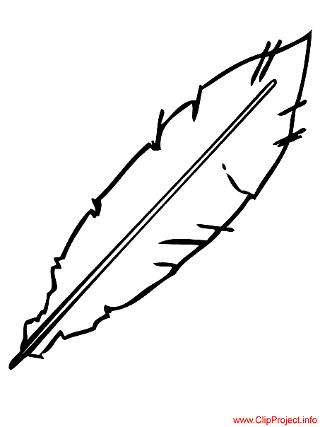 Feather image to color free