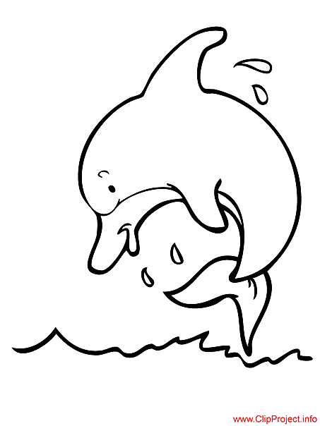 Dolphin coloring page