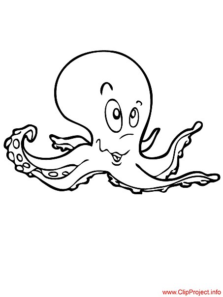 Octopus coloring page for free