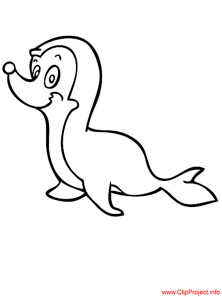 Seal coloring page for free
