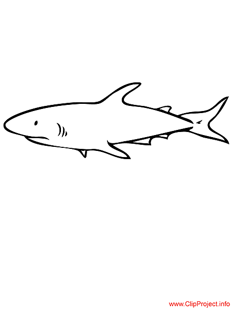 Shark coloring page free
